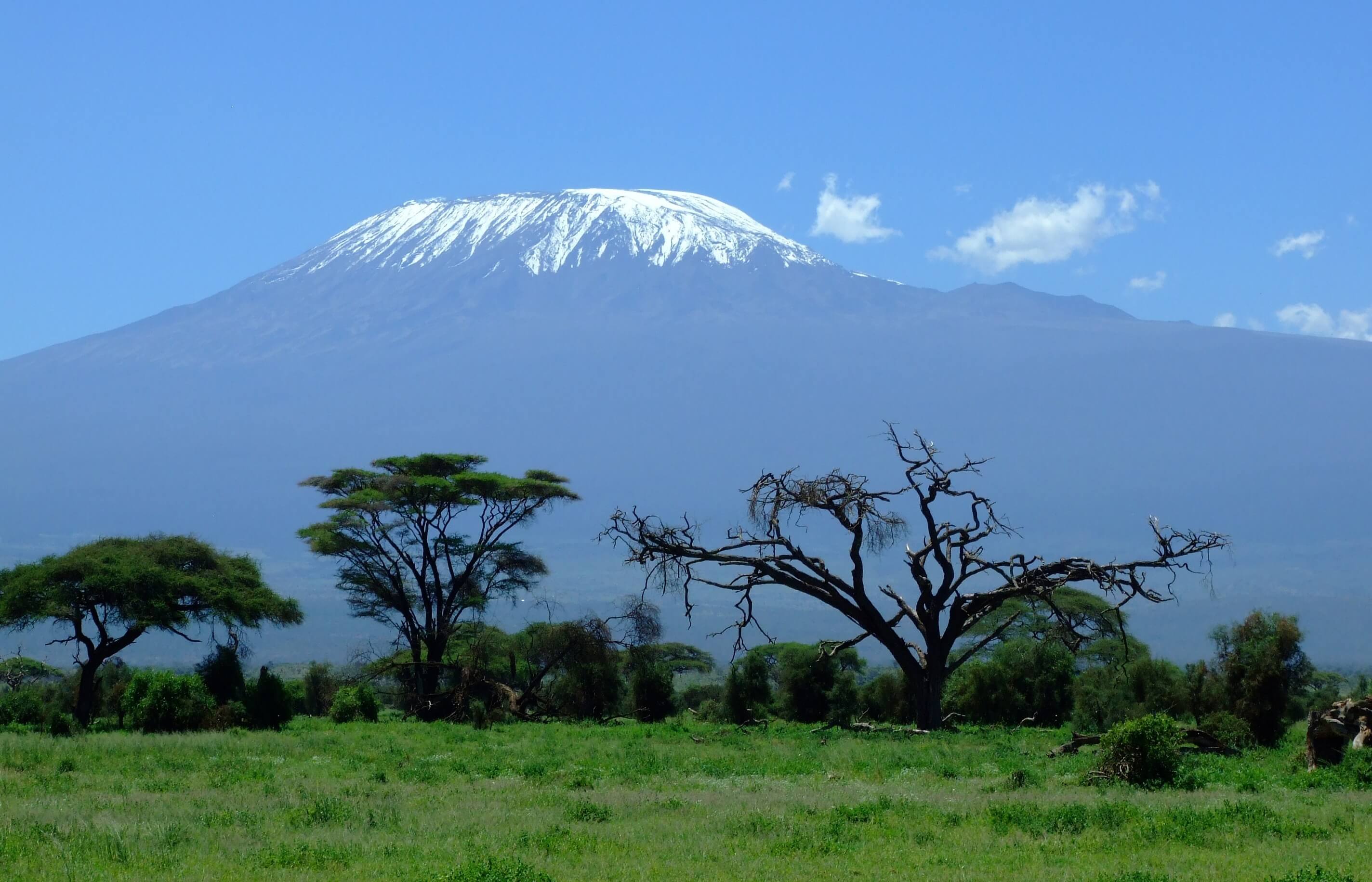 Photo accueil Afric'a Souhait