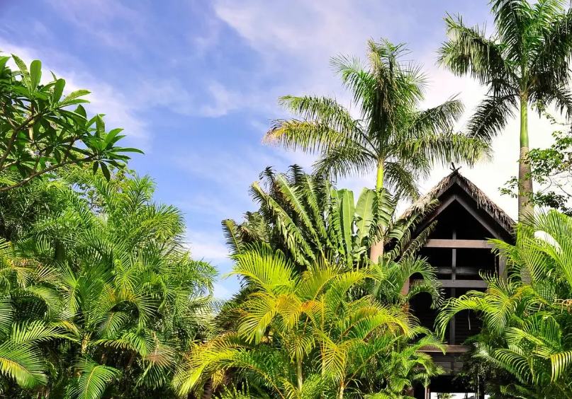 Image du produit Madagascar en Avion Privé : des forêts vierges à l’Anjajavy Lodge