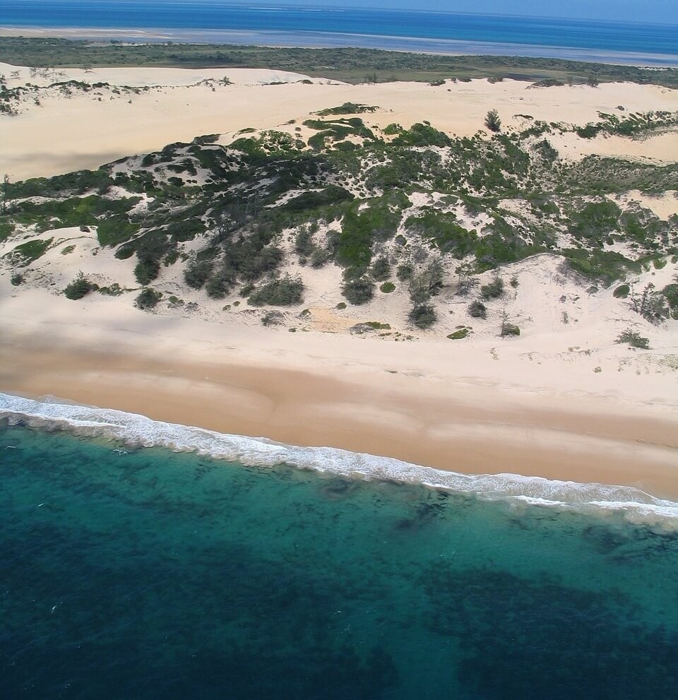 Image du produit Safari & Luxe en Afrique australe : de Sabi Sand à Bazaruto
