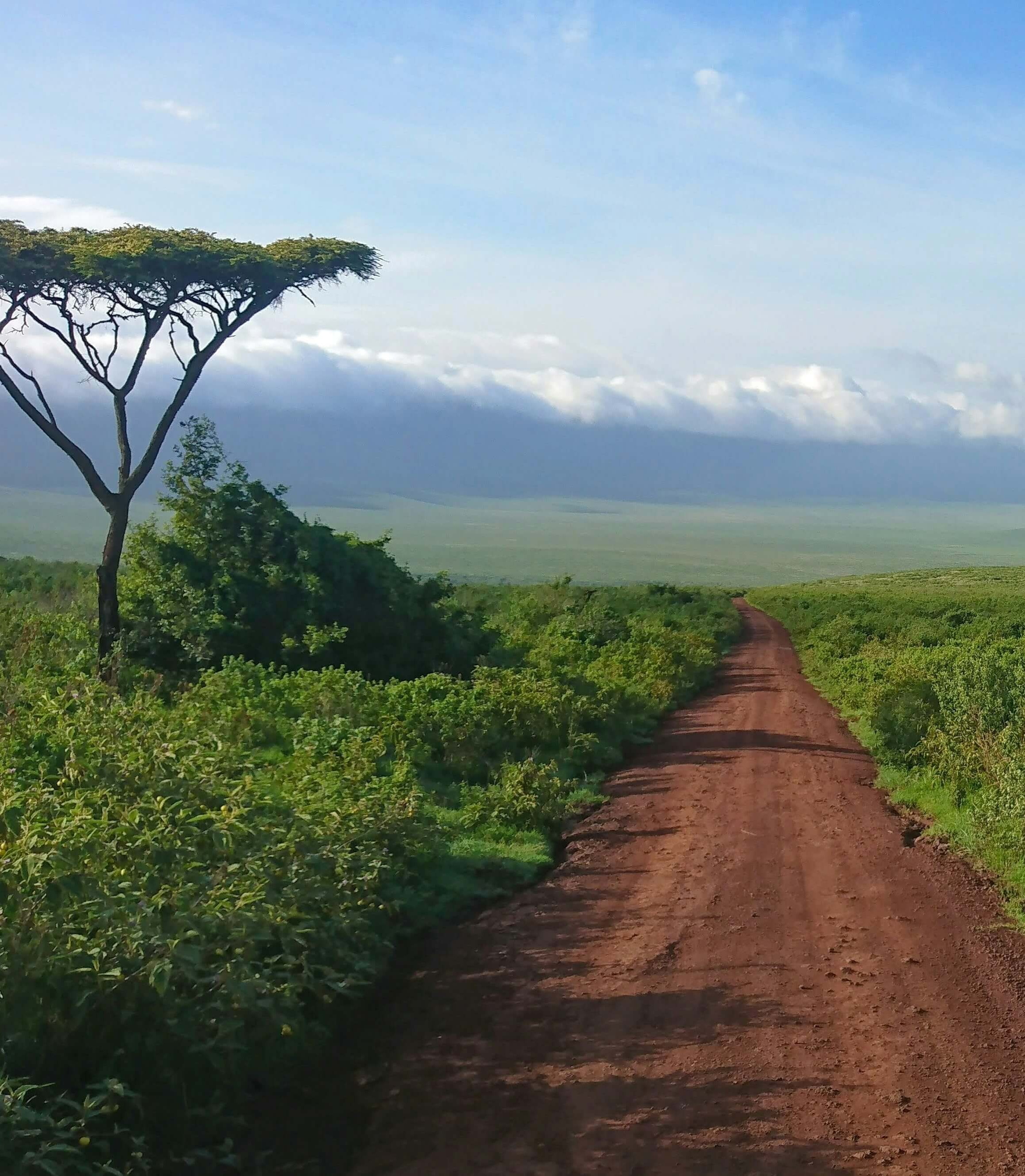 Photo accueil Afric'a Souhait