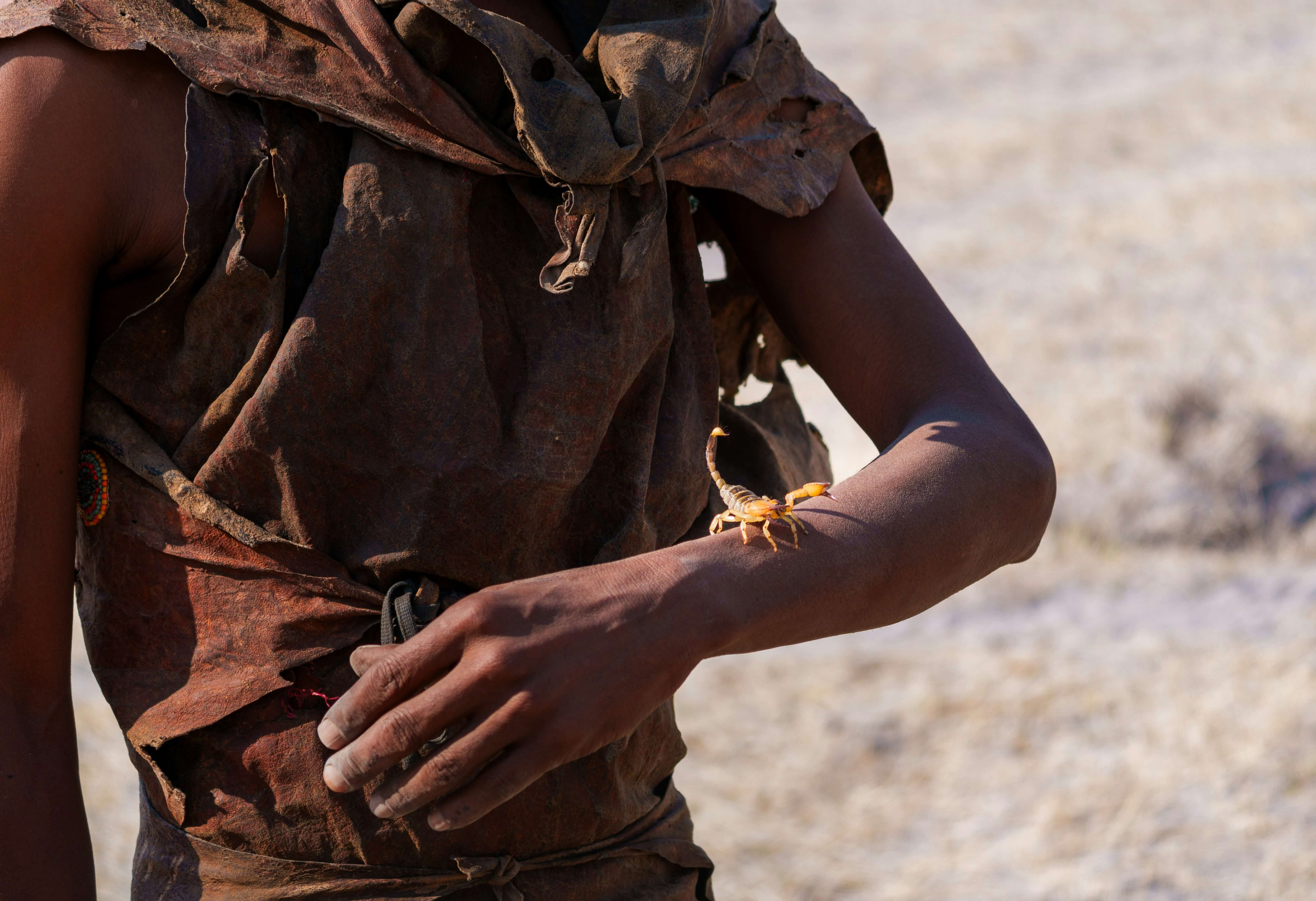 Marche avec le peuple San