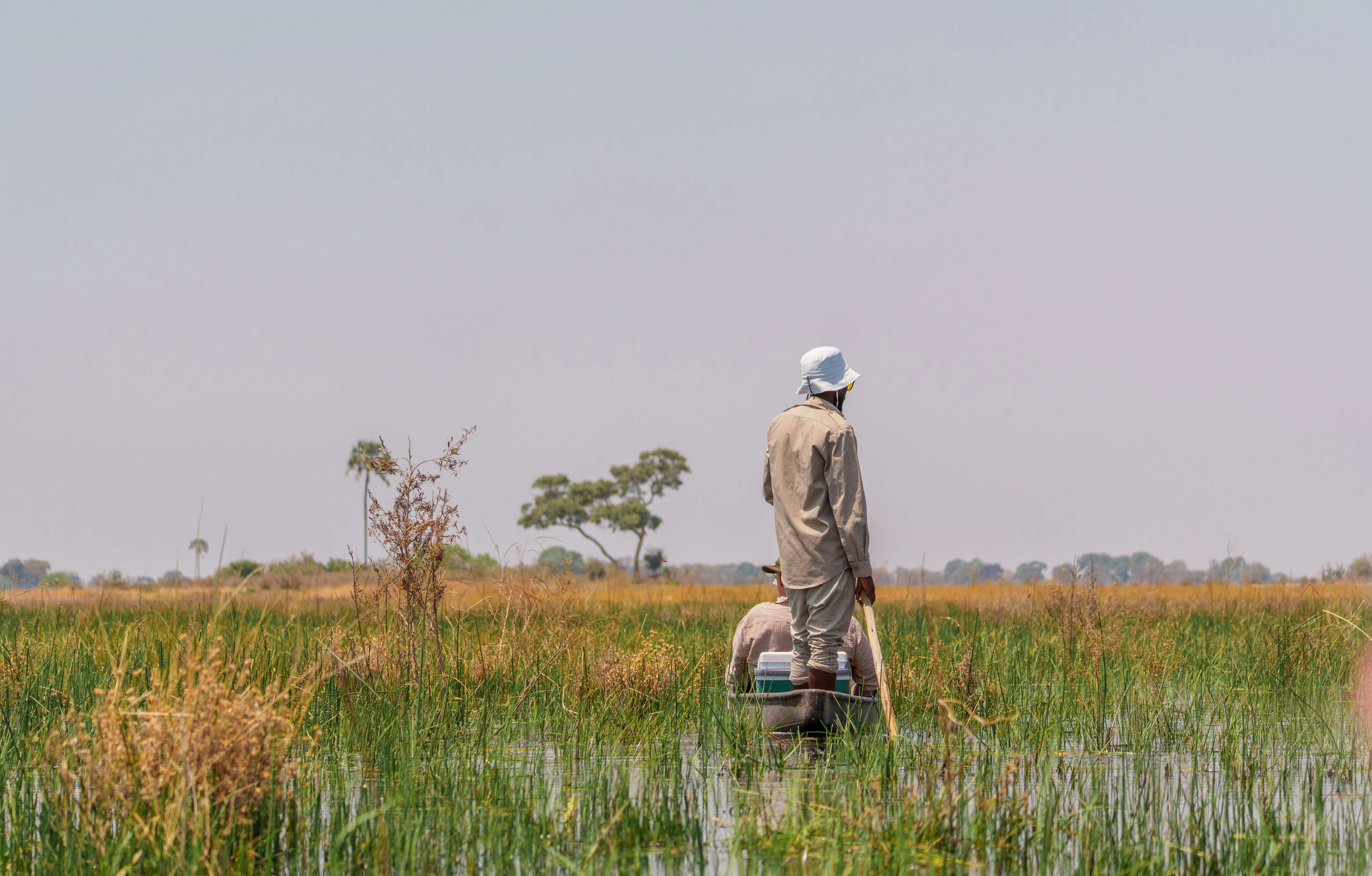 Au cœur du Botswana : safaris 4x4 & mokoro