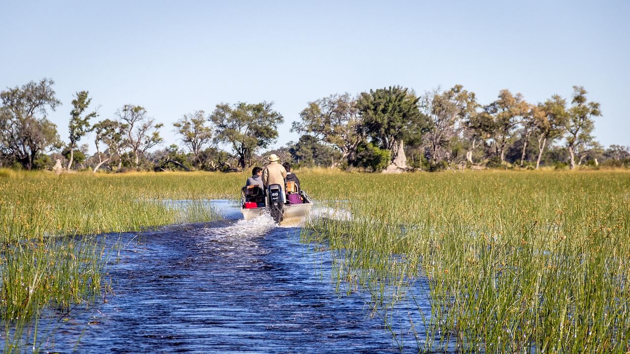 Image du produit Rendez-vous avec la faune : du Makgadikgadi à la rivière Chobe