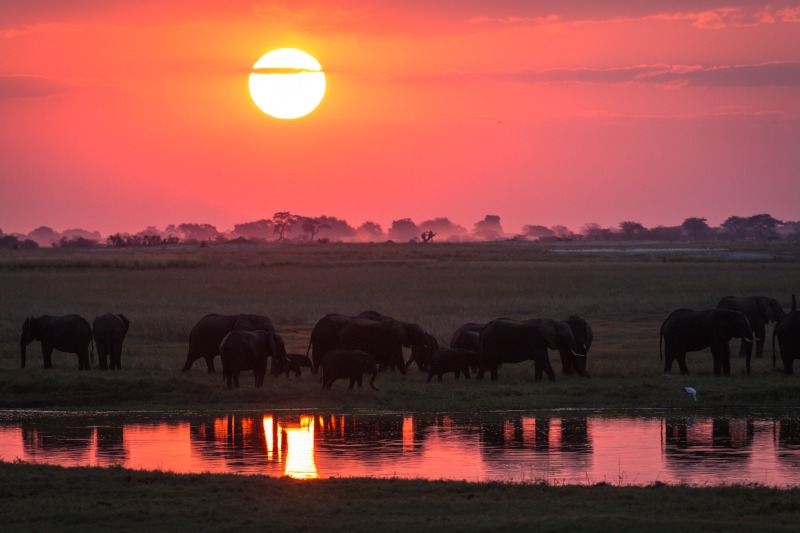 Image du produit Safari Mobile au Botswana : Okavango et Parc Chobe
