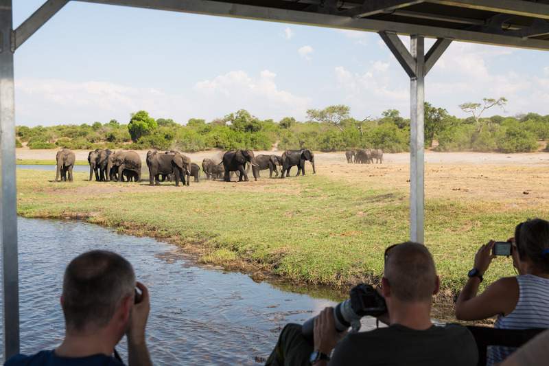 Image du produit Safari Botswana de lodge en lodge – des Chutes Victoria au Kalahari