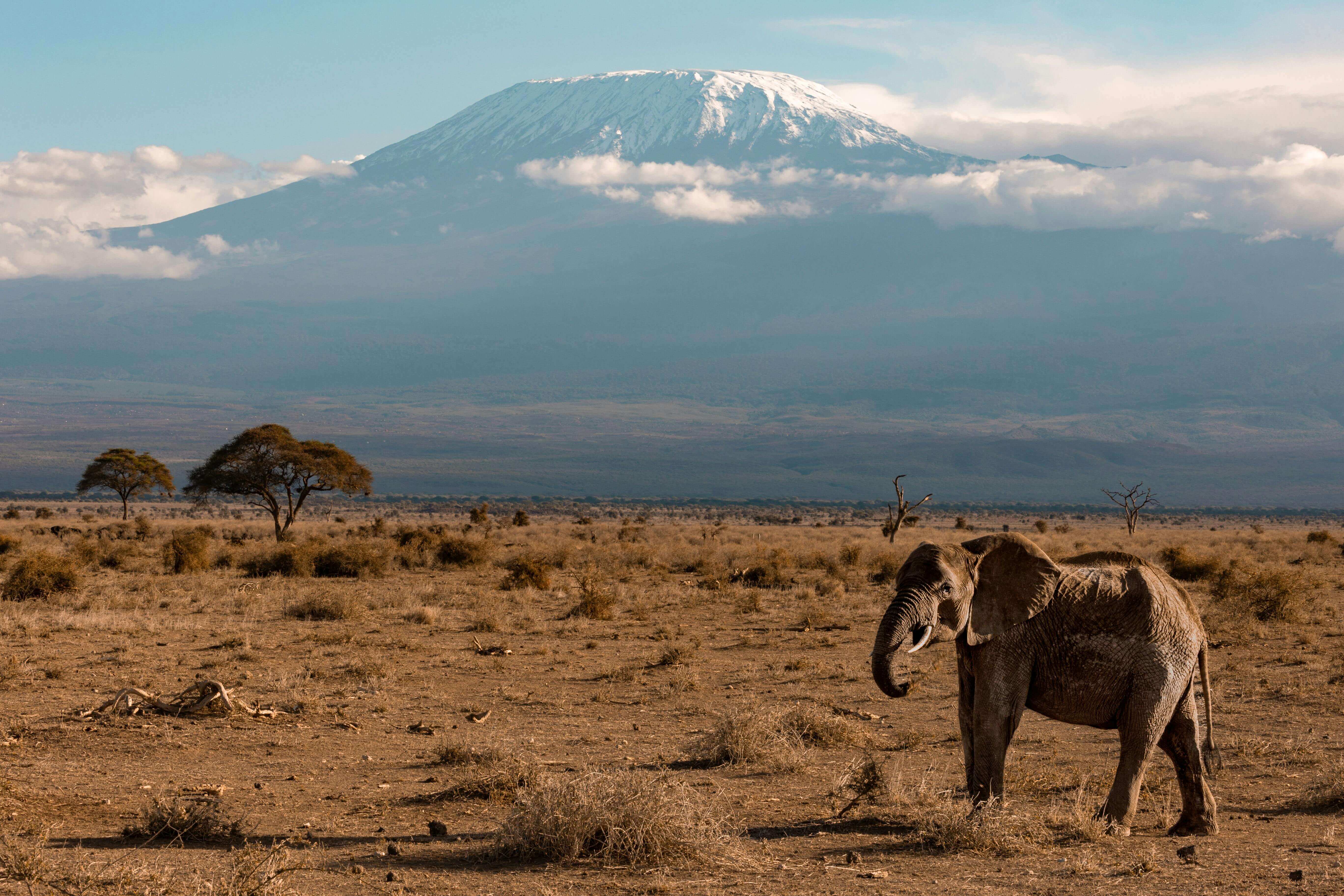Image du produit Magical Kenya : des plages paradisiaques à la savane
