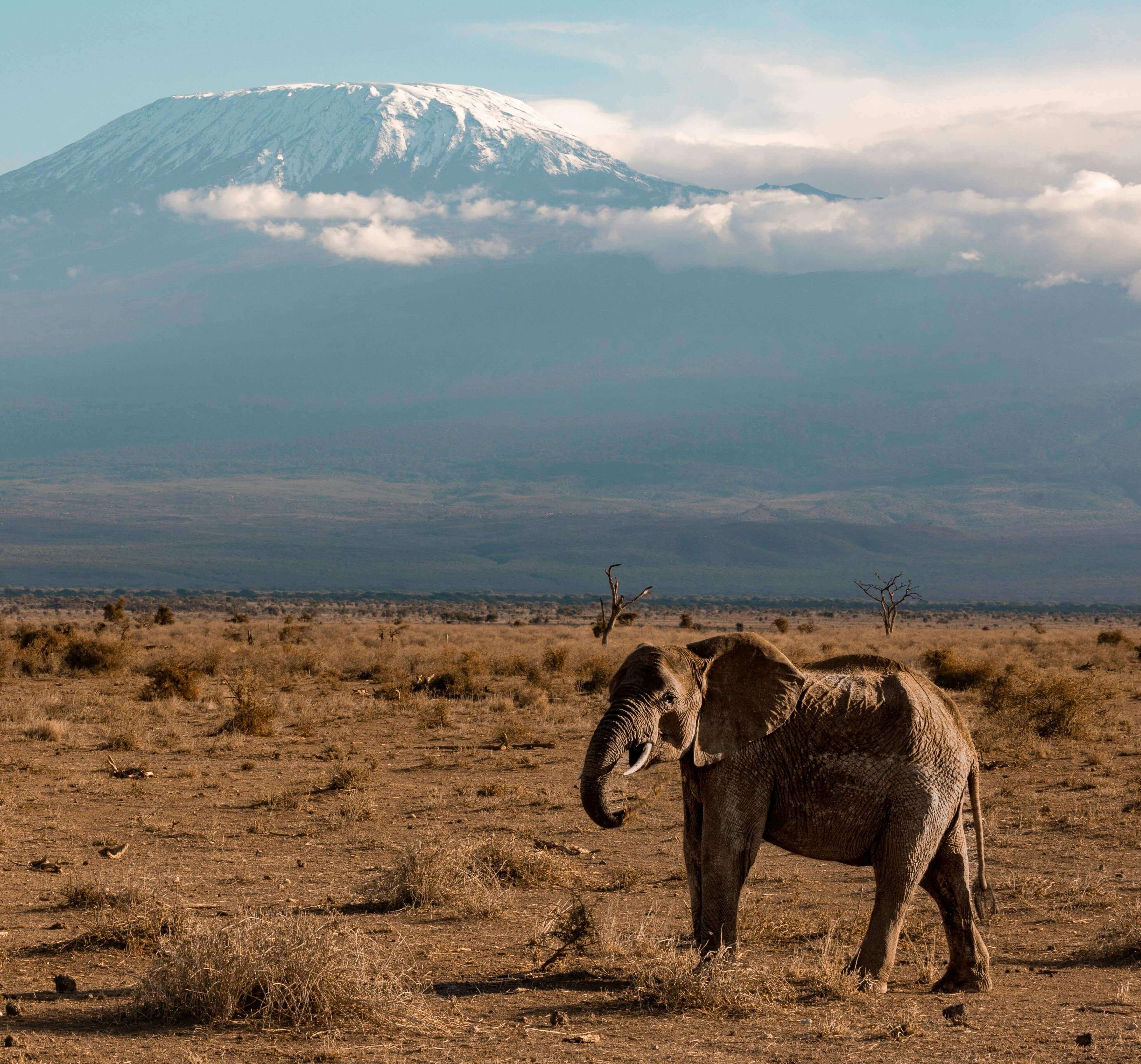 Photo accueil Afric'a Souhait
