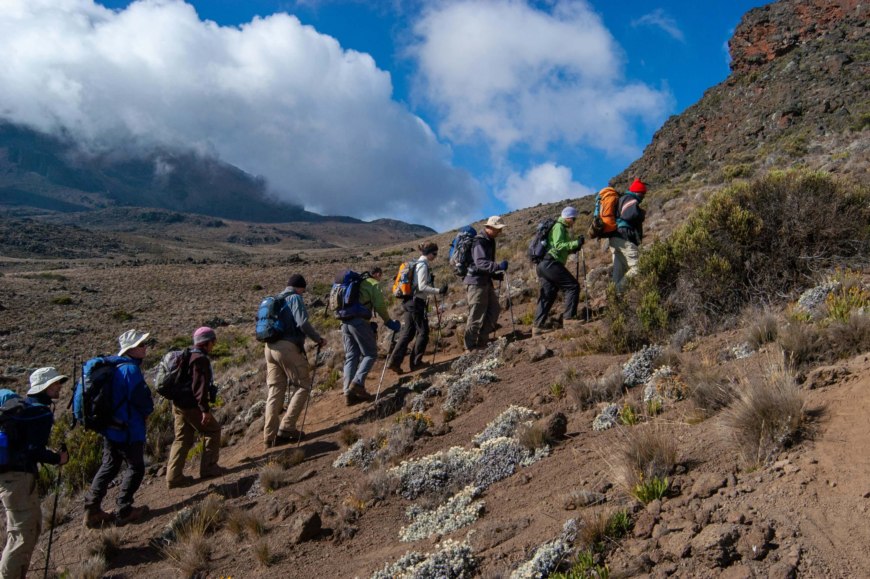 Ascension du Kilimanjaro : voie Rongai