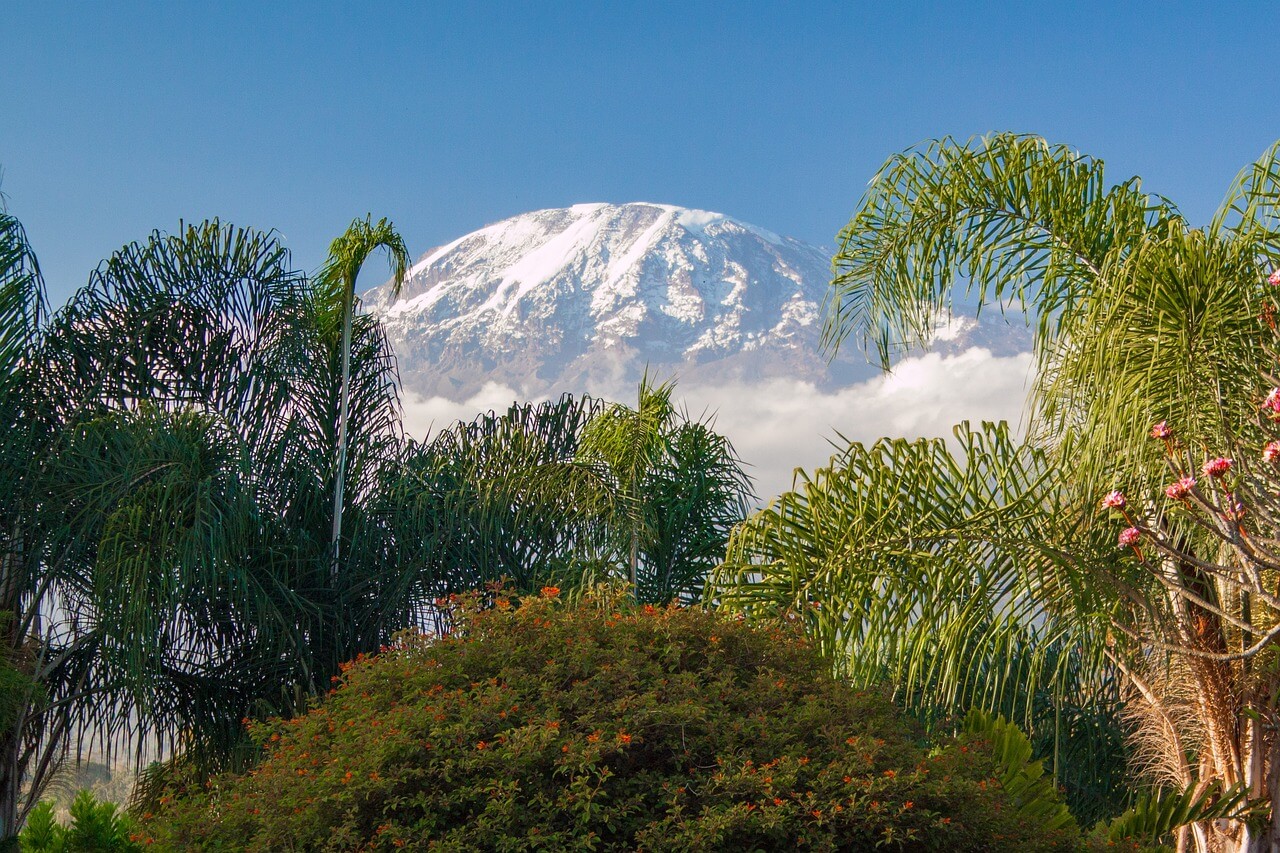 Ascension du Kilimanjaro : voie Machame
