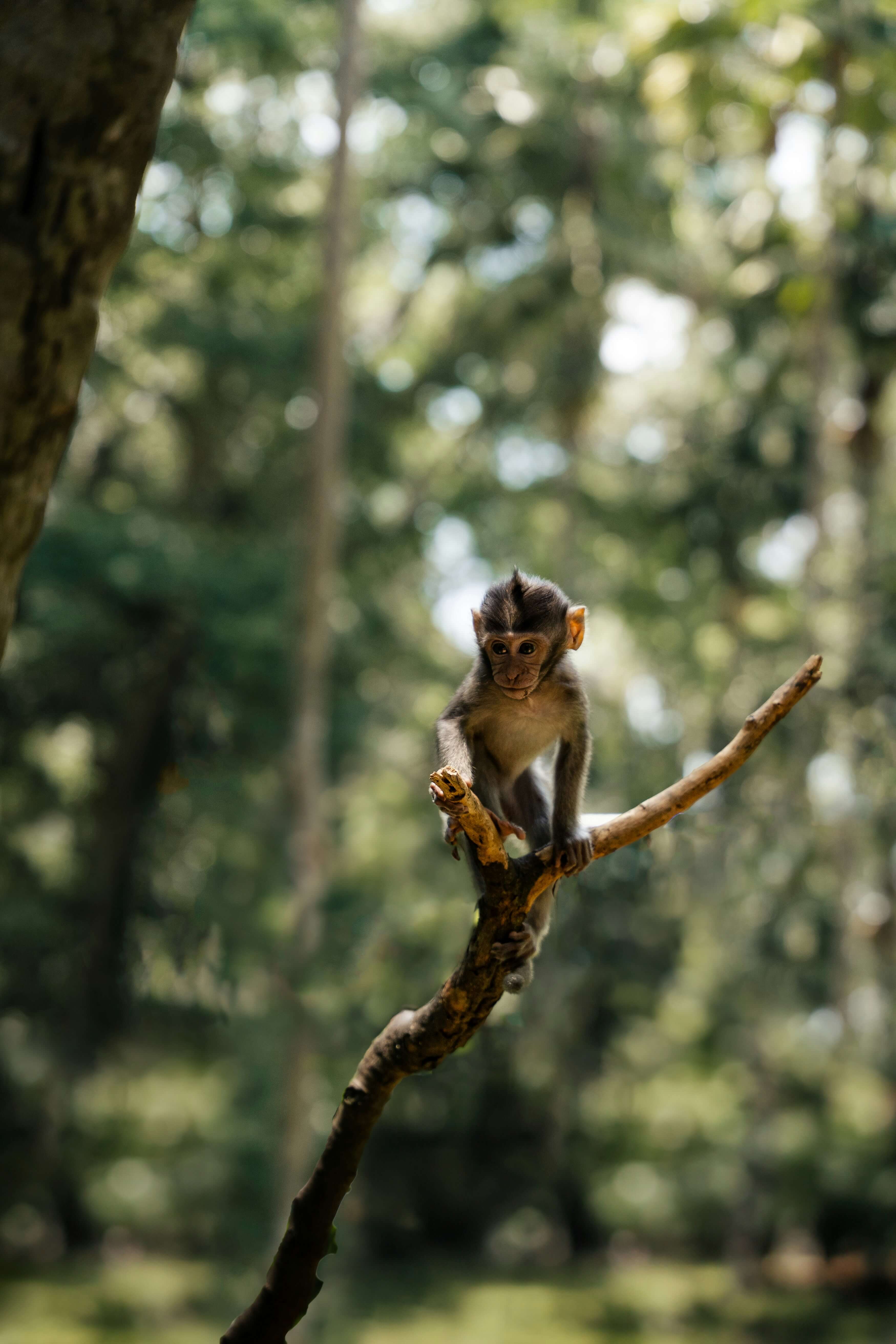 Image du produit Cap à l’Est : du canal des Pangalanes à l’île de Sainte Marie