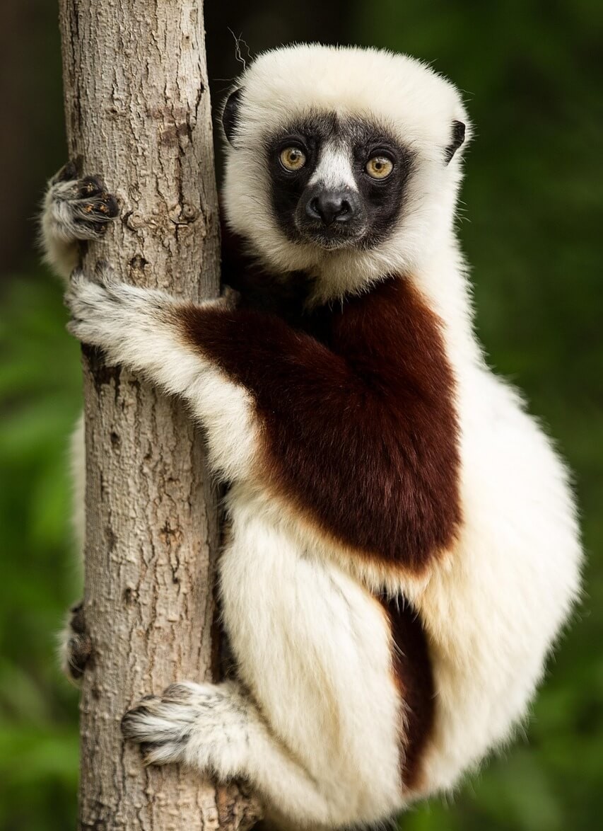 Le sud malgache : escapade sur la nationale 7