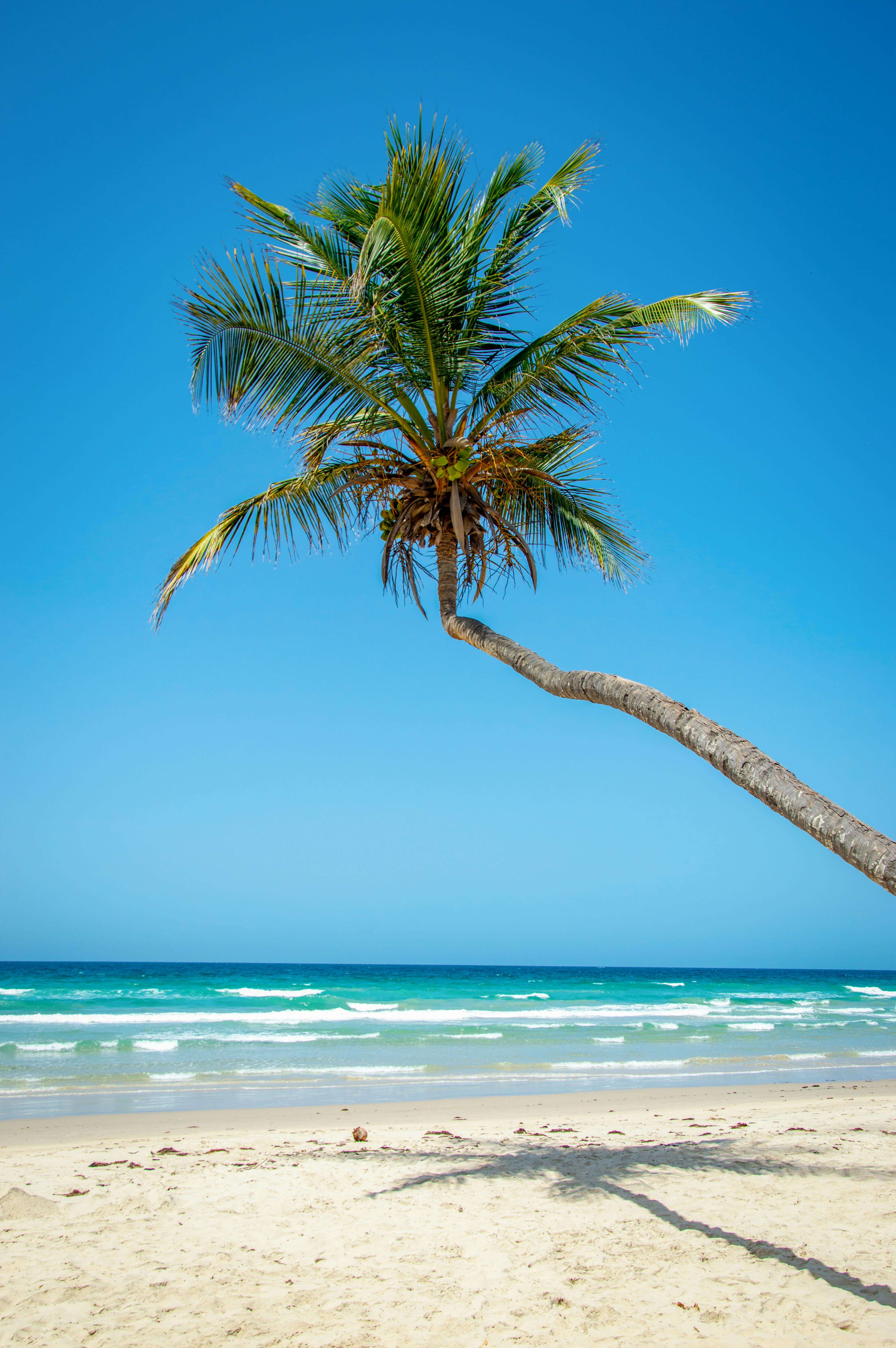 Cap à l’Est : du canal des Pangalanes à l’île de Sainte Marie