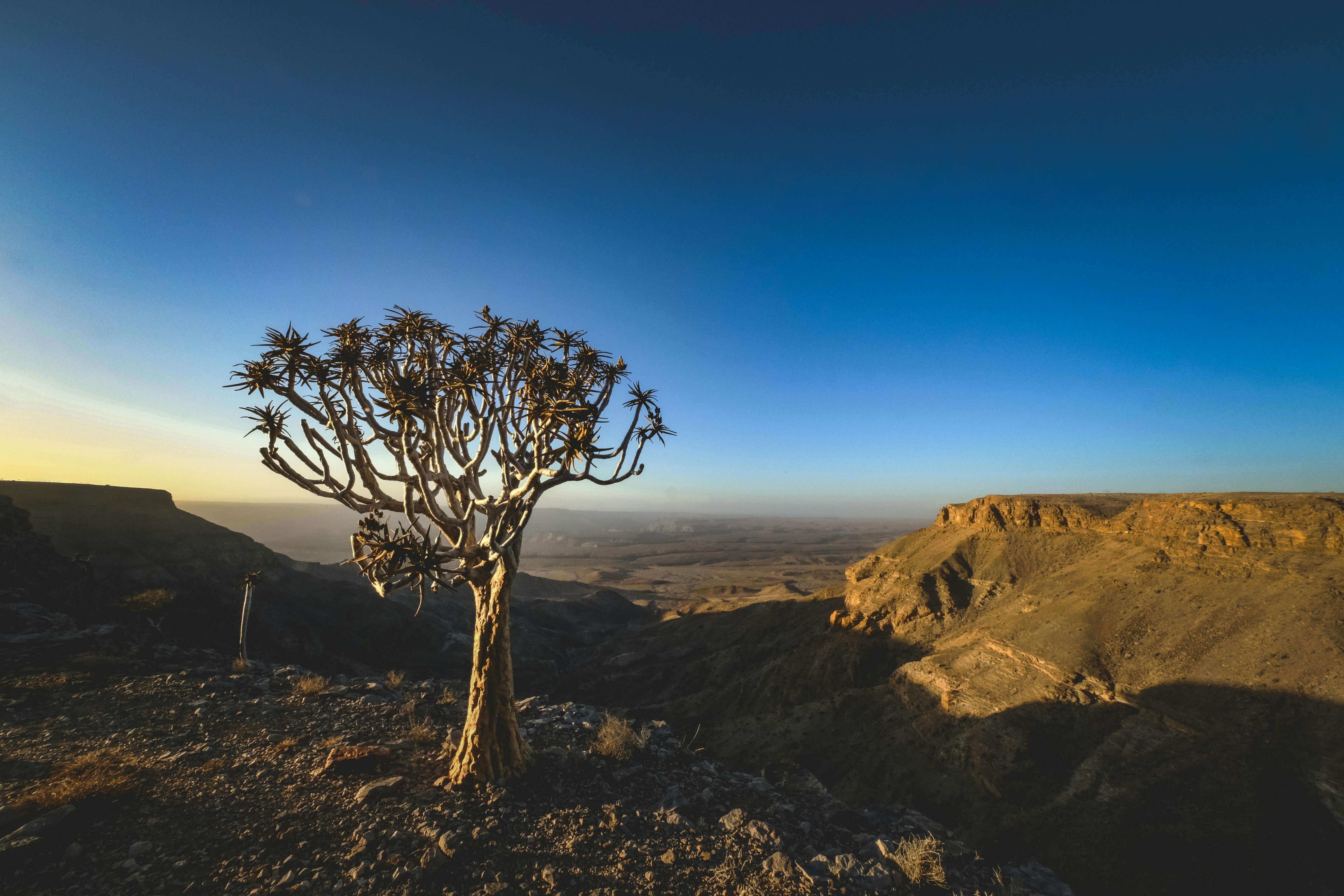 Image du produit Circuit groupé : Le Grand Tour de Namibie