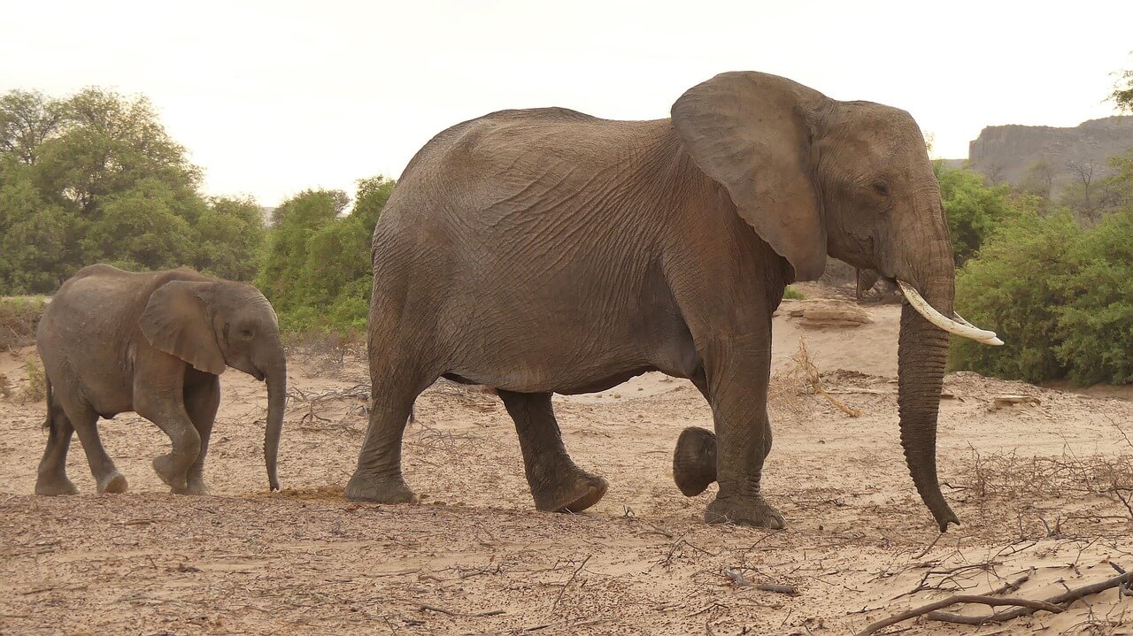 illustration de l'étape