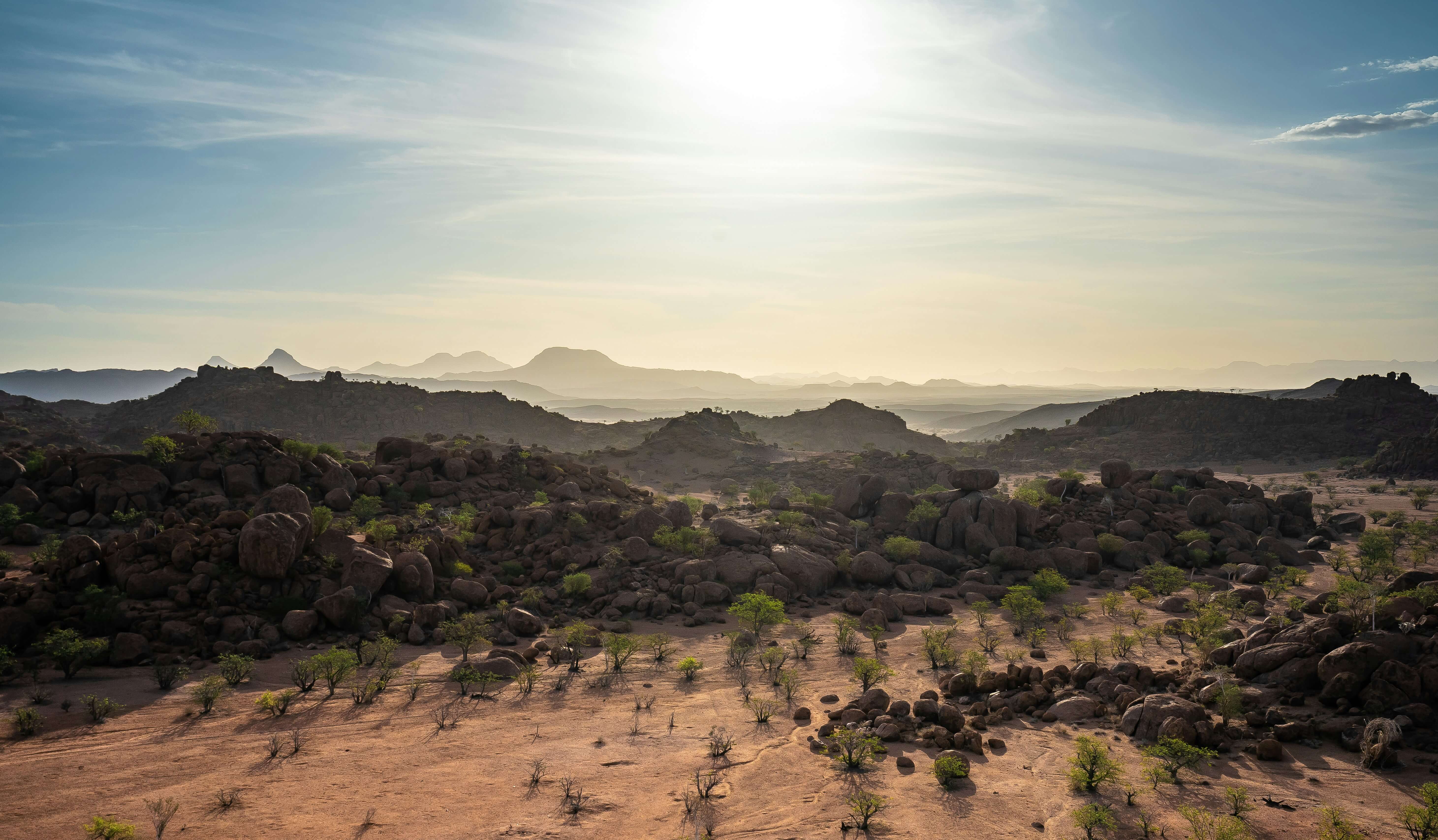 Image du produit Merveilles de Namibie : savane & désert