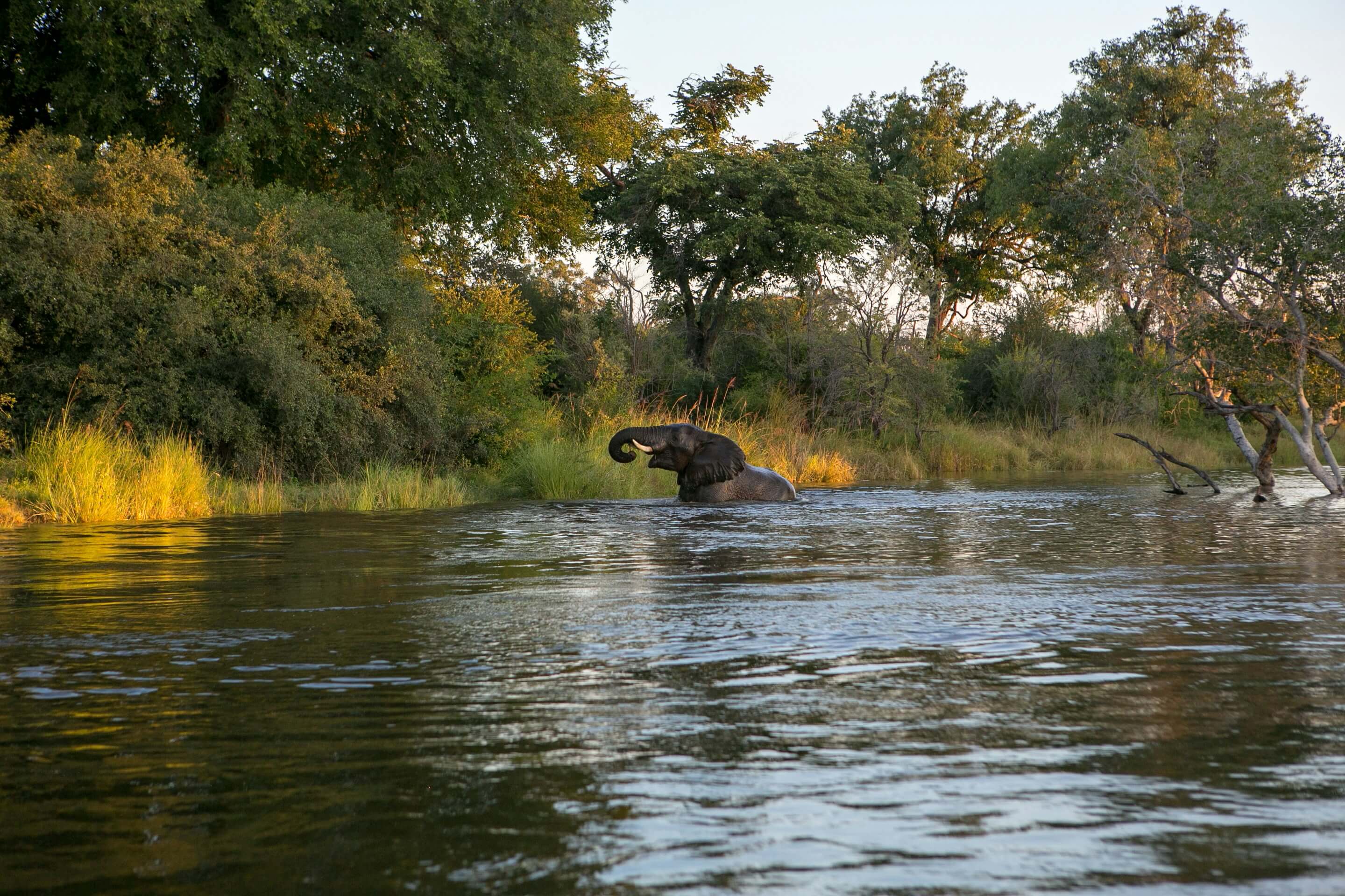 Image du produit Bande de Caprivi : des réserves namibiennes aux Chutes Victoria