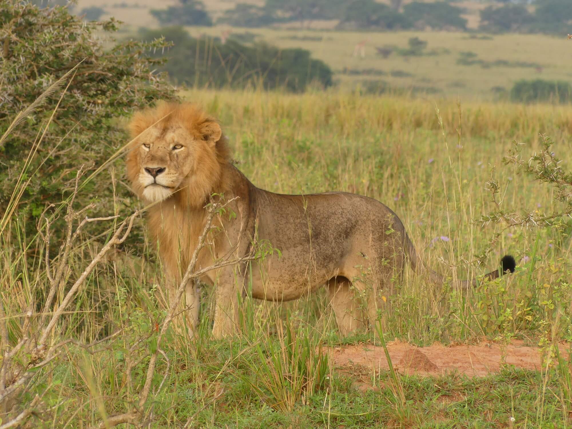 illustration de l'étape