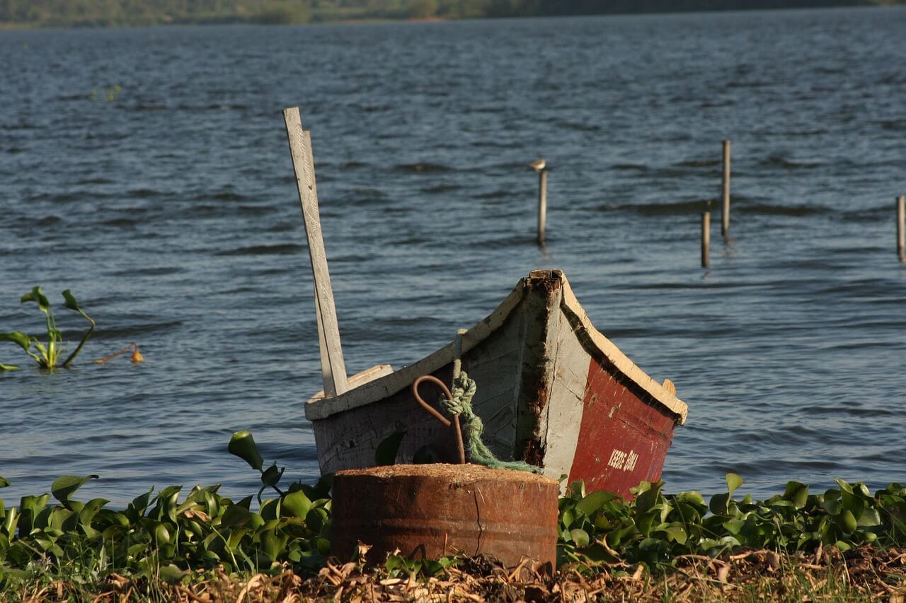 Image du produit Merveilles d’Ouganda : la « perle de l’Afrique »