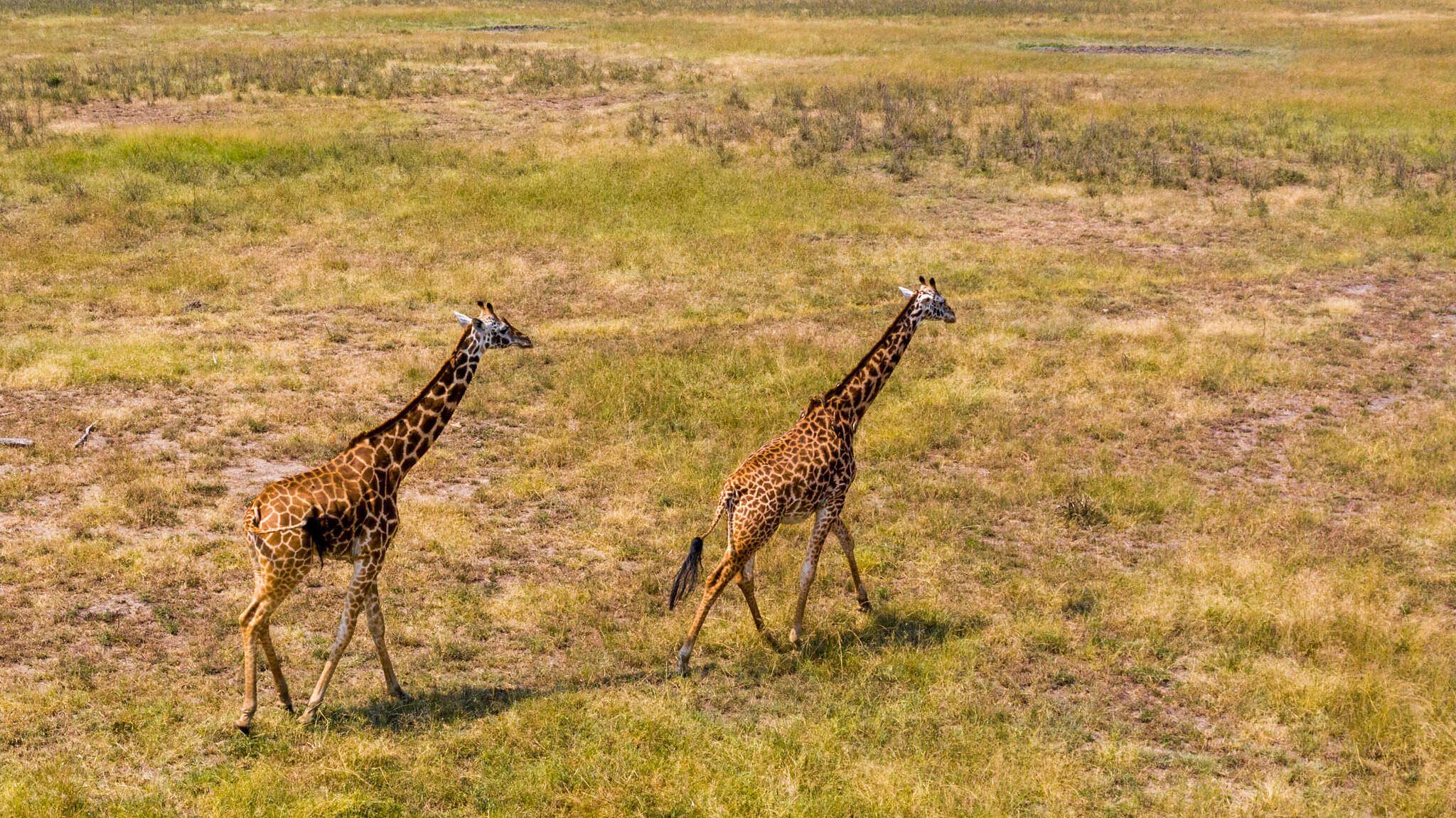 Image du produit Premiers pas au Rwanda : le pays aux mille collines
