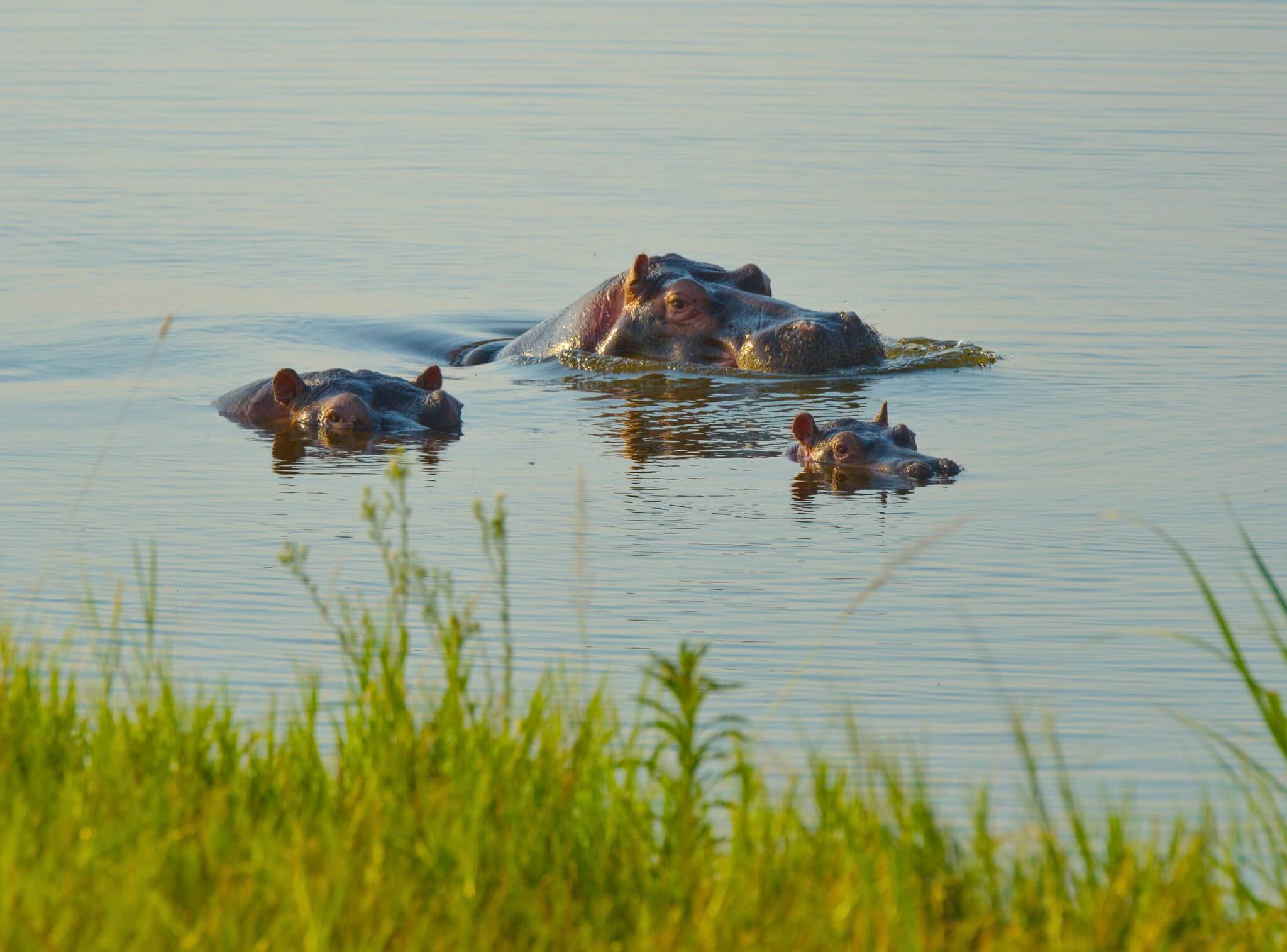 Image du produit Premiers pas au Rwanda : le pays aux mille collines