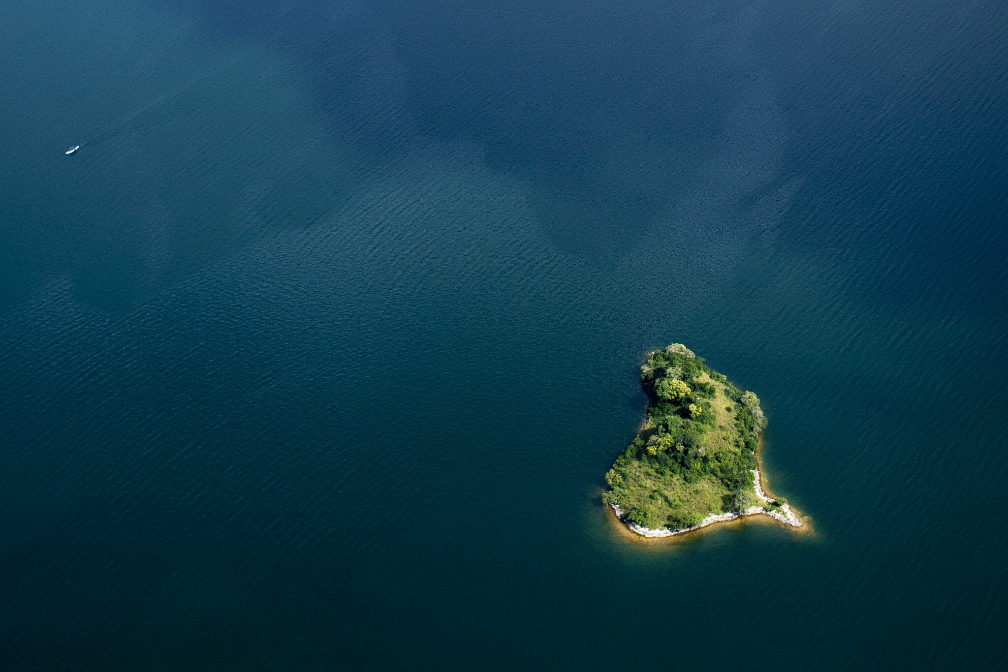 Image du produit Safaris & primates : de l’Akagera aux forêts tropicales