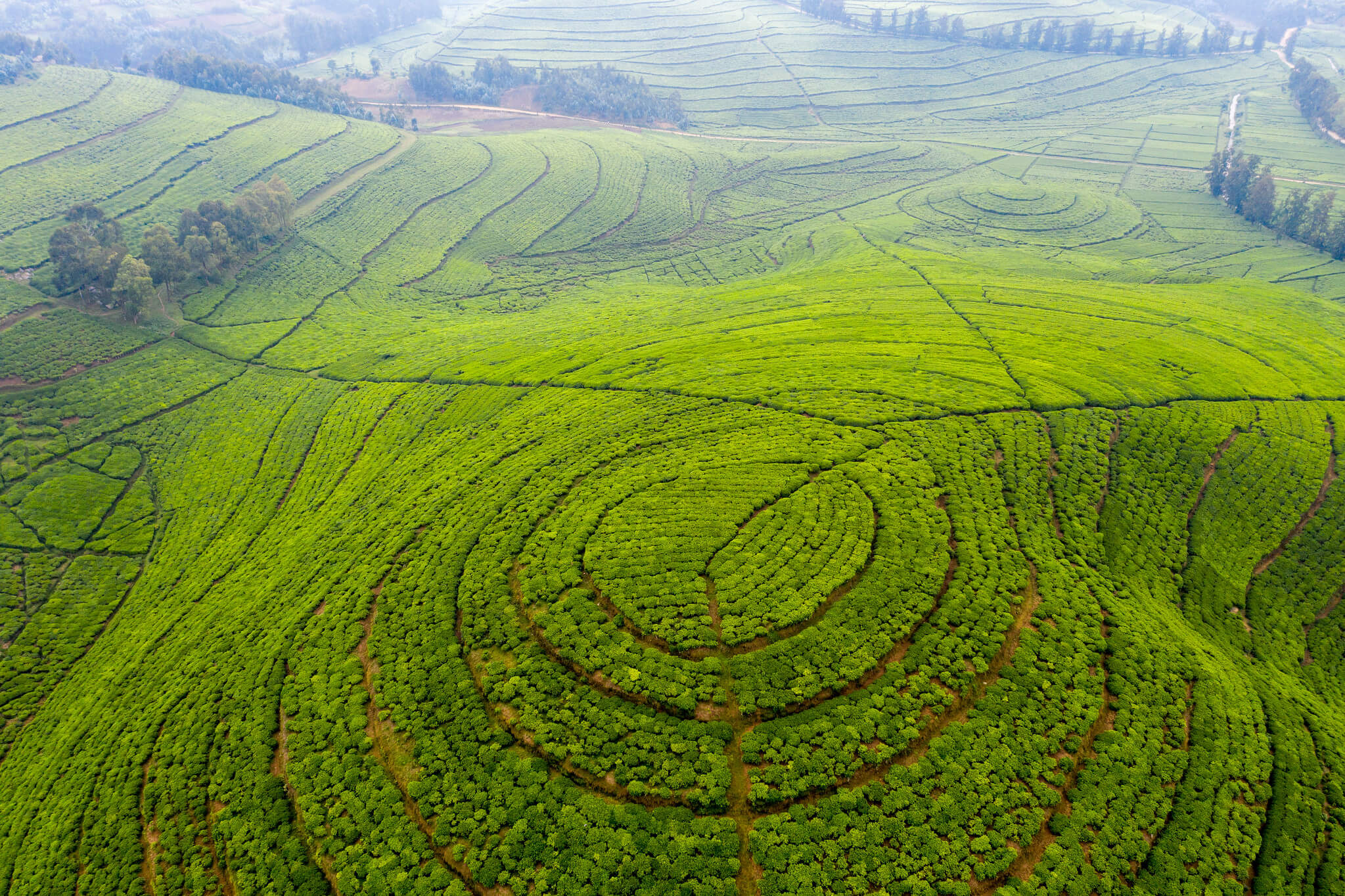 Photo accueil Afric'a Souhait