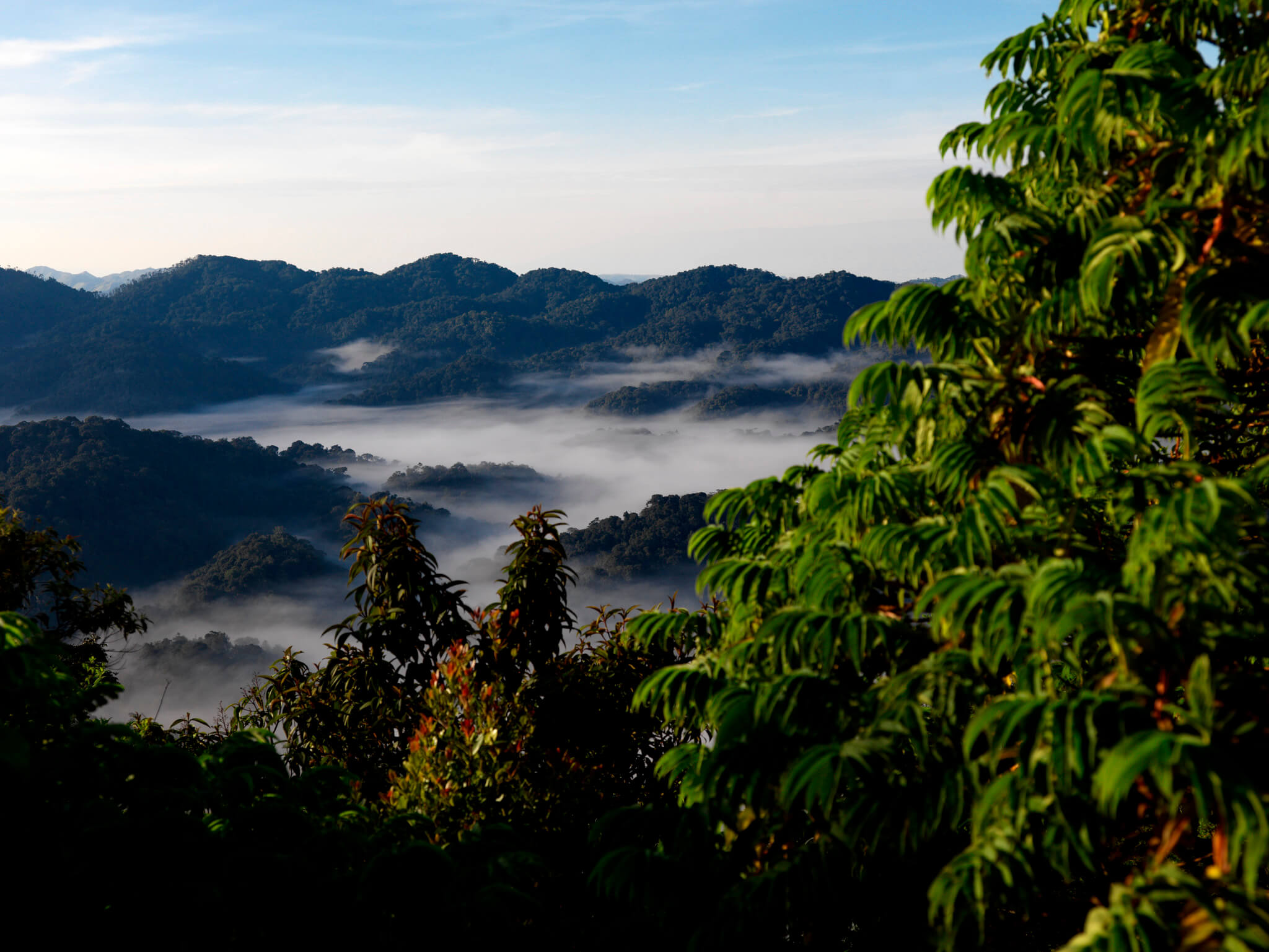 Image du produit Escapade au Rwanda : Akagera & Volcans