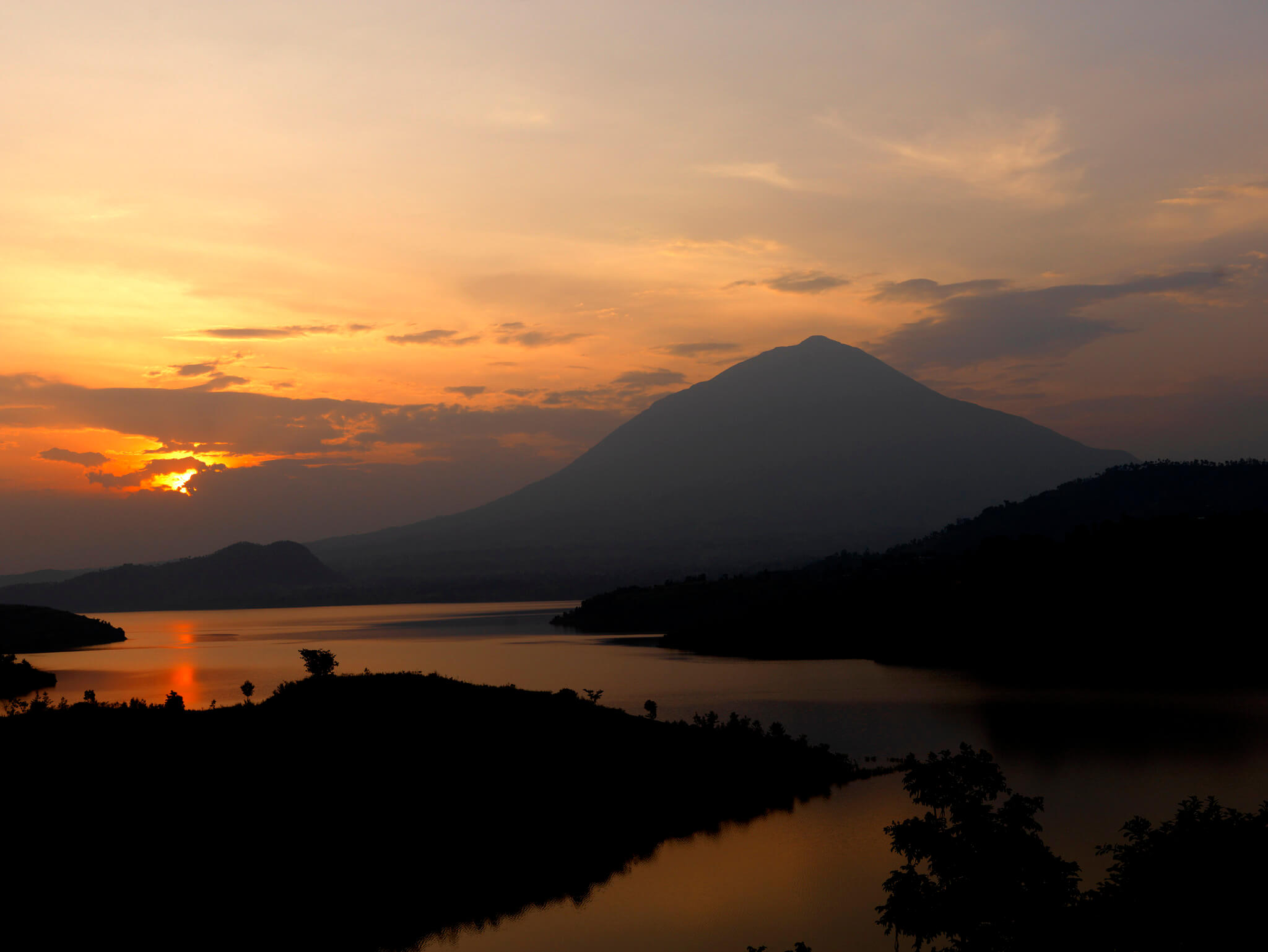 Image du produit Safaris & primates : de l’Akagera aux forêts tropicales
