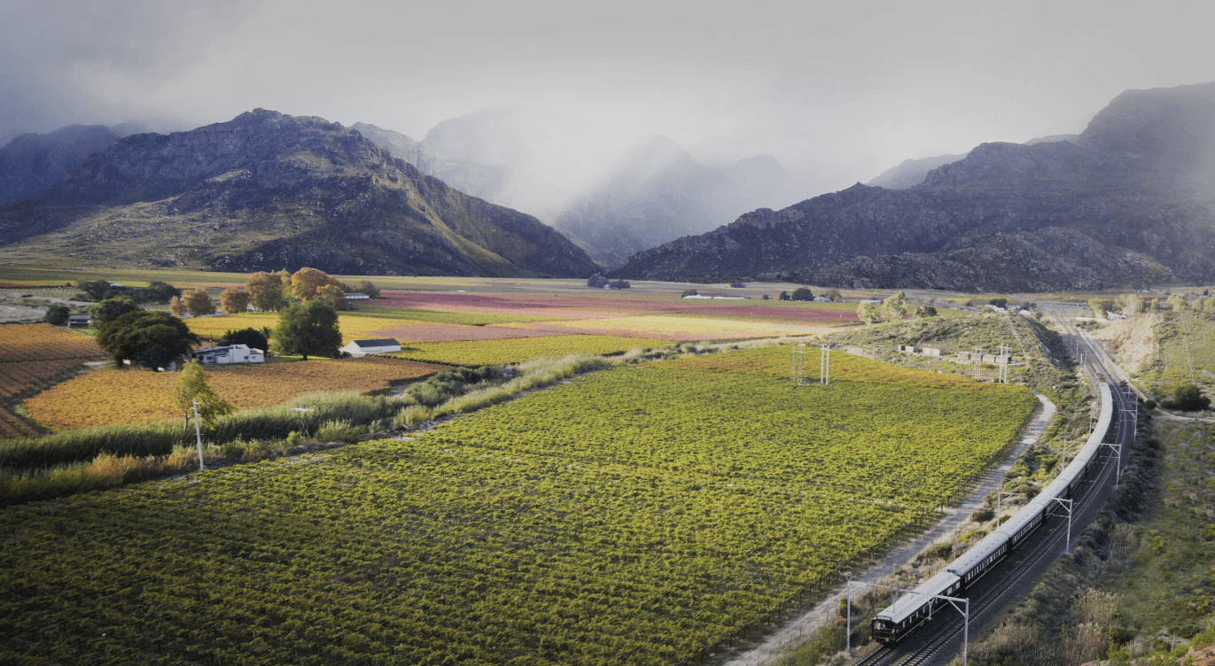 Image du produit Afrique du Sud en train de luxe : Rovos Rail, Le Cap et safari à Marakele