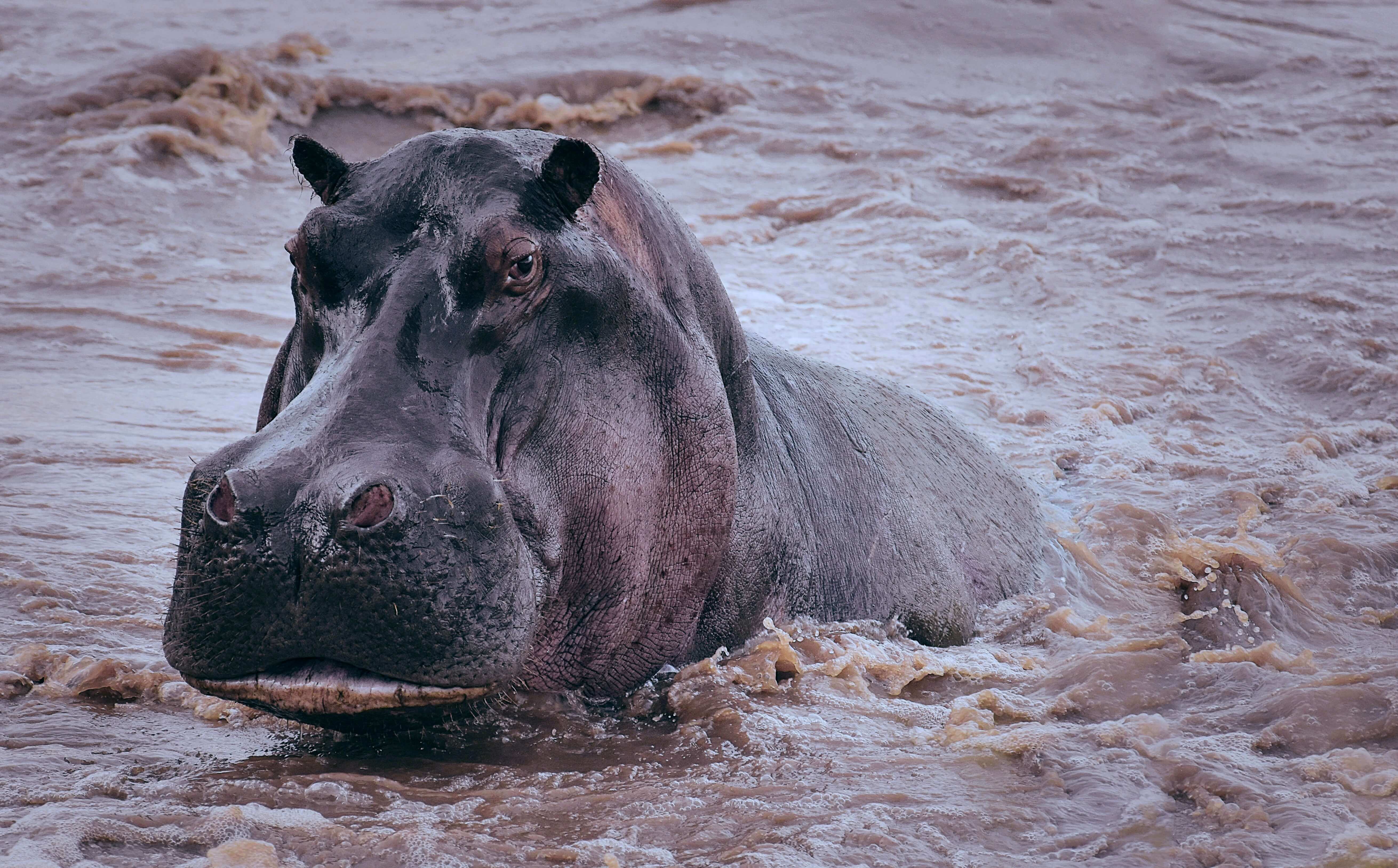 Image du produit Parcs du Nord : immersion dans la savane