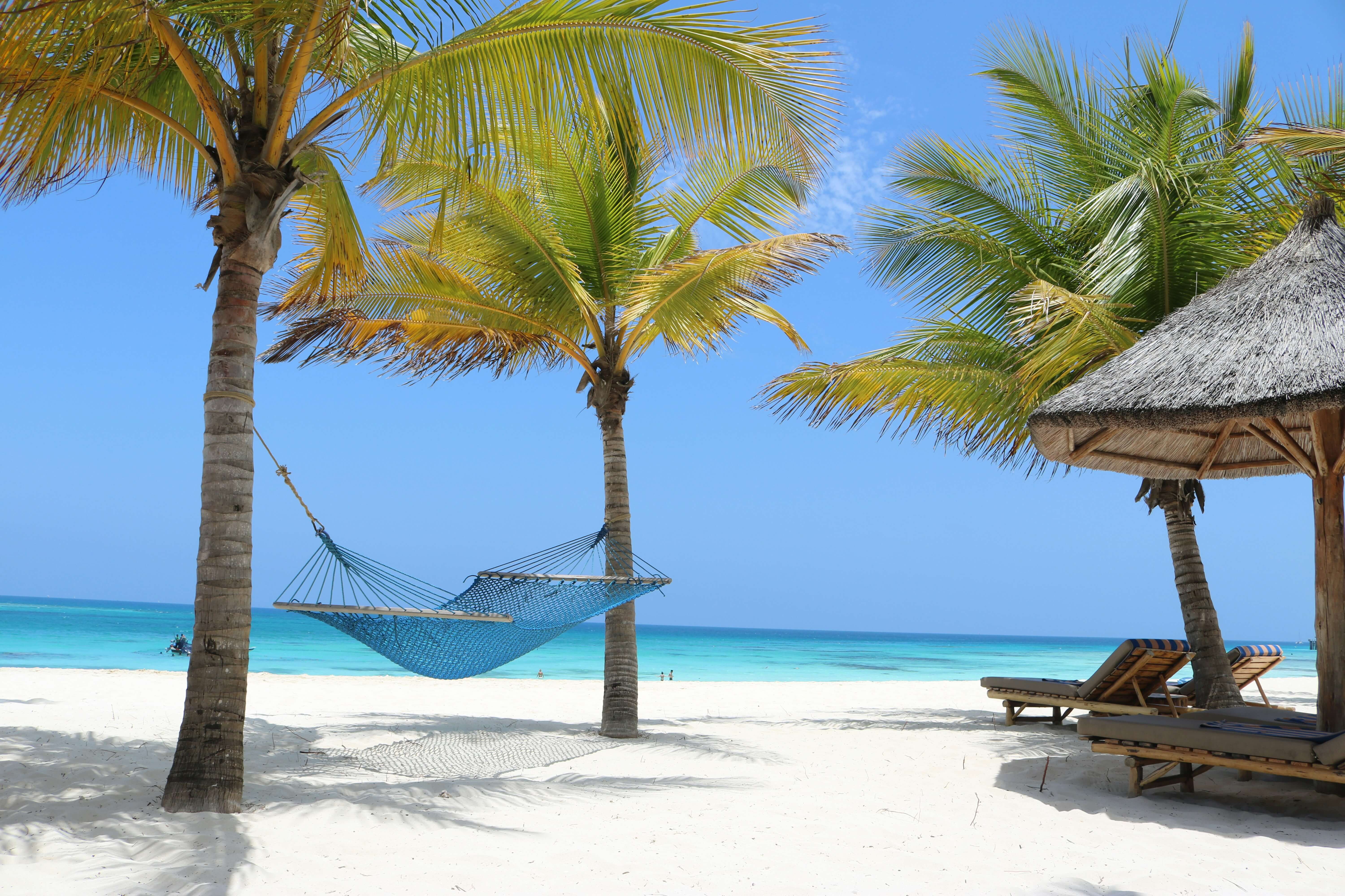 Image du produit Grande aventure en Tanzanie : safaris, Mont Makarut et plongée à Mafia Island