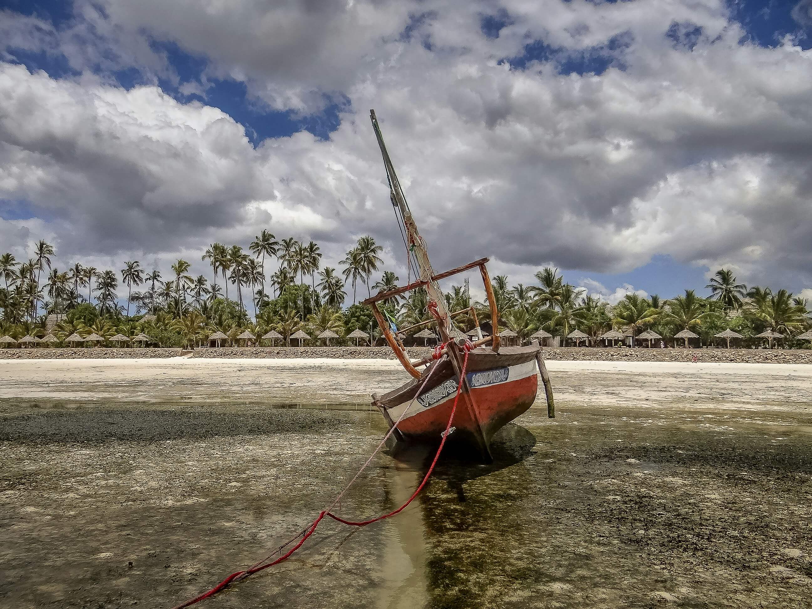 Image du produit Grande aventure en Tanzanie : safaris, Mont Makarut et plongée à Mafia Island