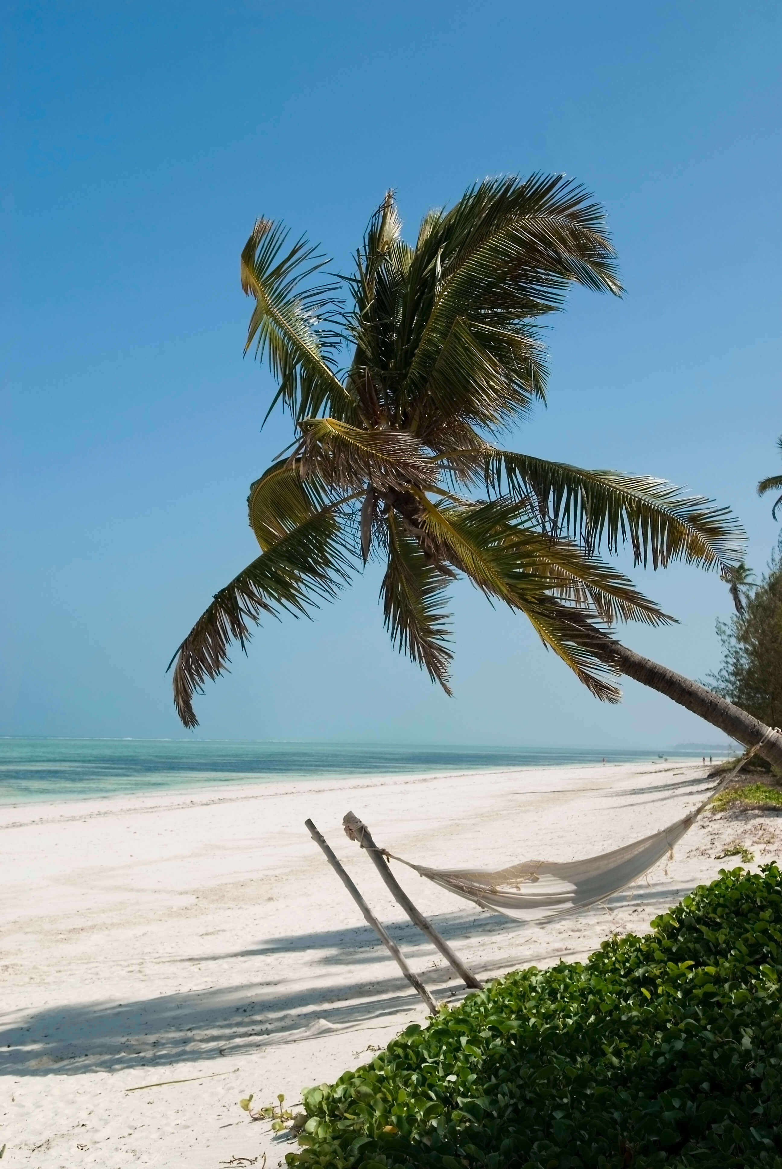 Image du produit Grande aventure en Tanzanie : safaris, Mont Makarut et plongée à Mafia Island