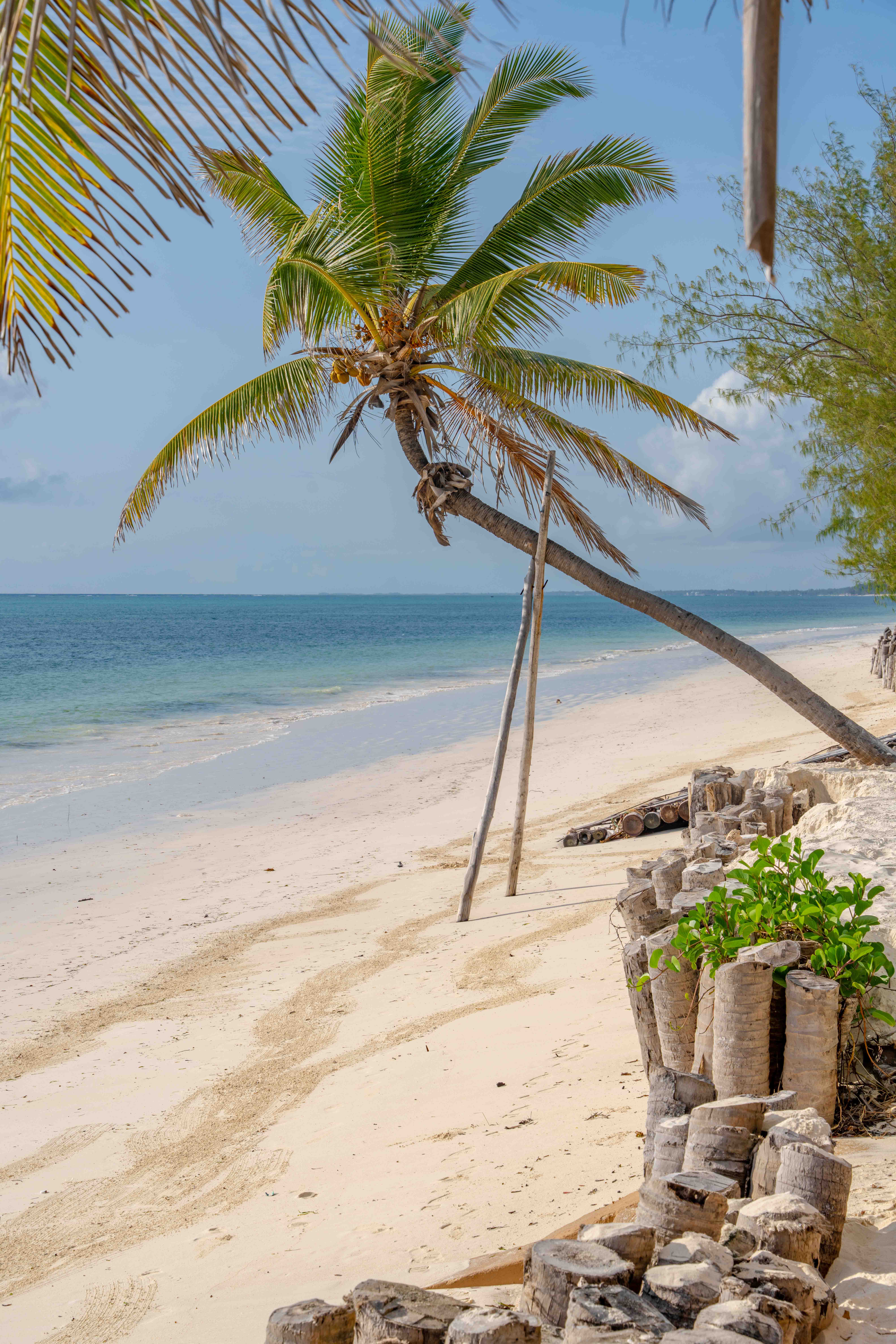 illustration de l'étape