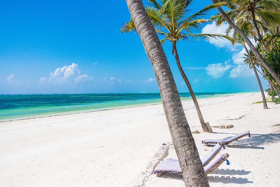 Image du produit Combiné Saadani & Zanzibar : de la savane aux lagons