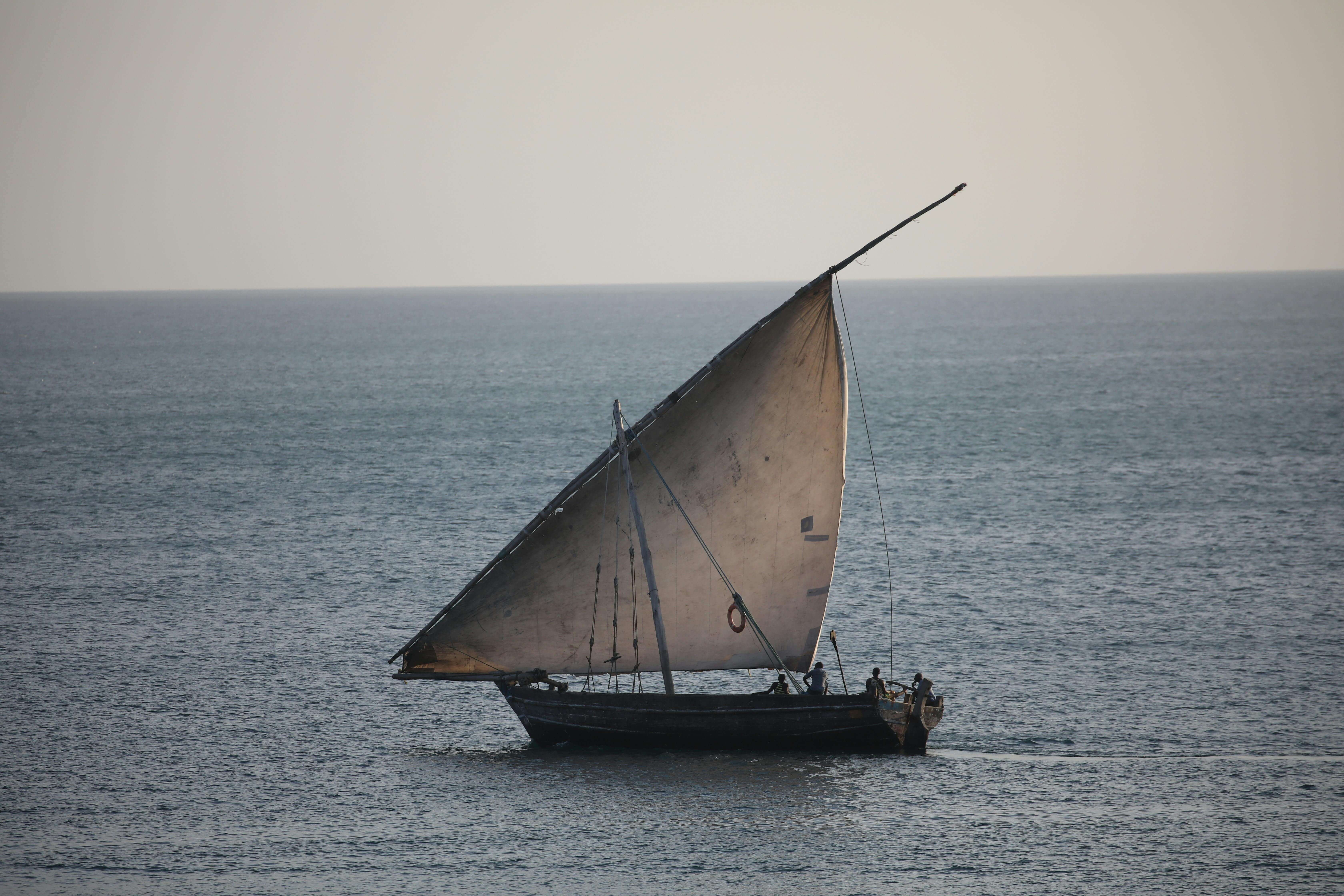 Balade en dhow traditionnel